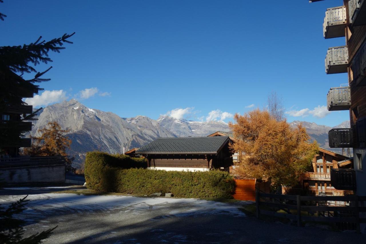 Pracondu 1 Outdoor & Fun Appartement 1 Chambre Superieur Avec Balcon By Alpvision Residences Nendaz Exterior foto
