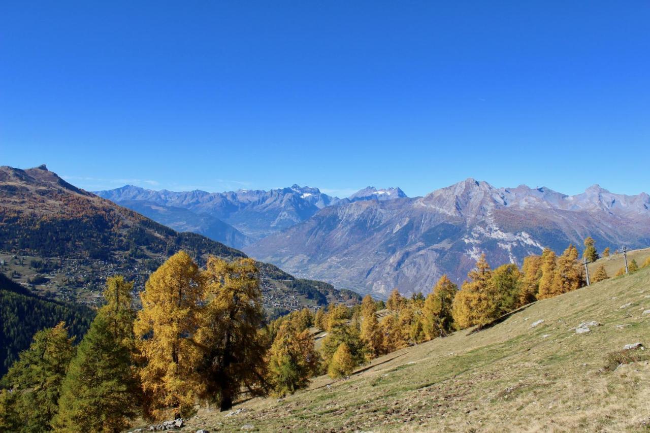 Pracondu 1 Outdoor & Fun Appartement 1 Chambre Superieur Avec Balcon By Alpvision Residences Nendaz Exterior foto