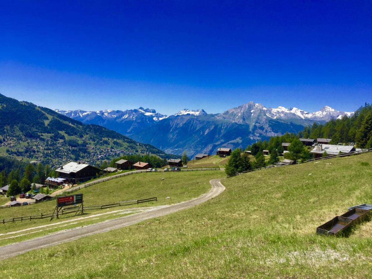 Pracondu 1 Outdoor & Fun Appartement 1 Chambre Superieur Avec Balcon By Alpvision Residences Nendaz Exterior foto